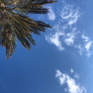 Meet your Posher, Natalia